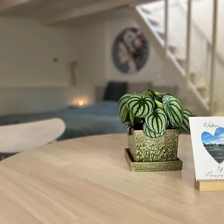 Stolpboerderij Maria's Hoeve Gastenverblijf Rust En Ruimte Apartment *