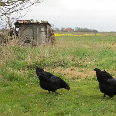 Apartment Stolpboerderij Maria's Hoeve Gastenverblijf Rust En Ruimte *